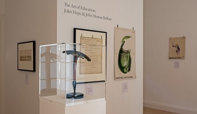 A glass display case houses a plant teaching model and various plant diagrams hang on a white wall.