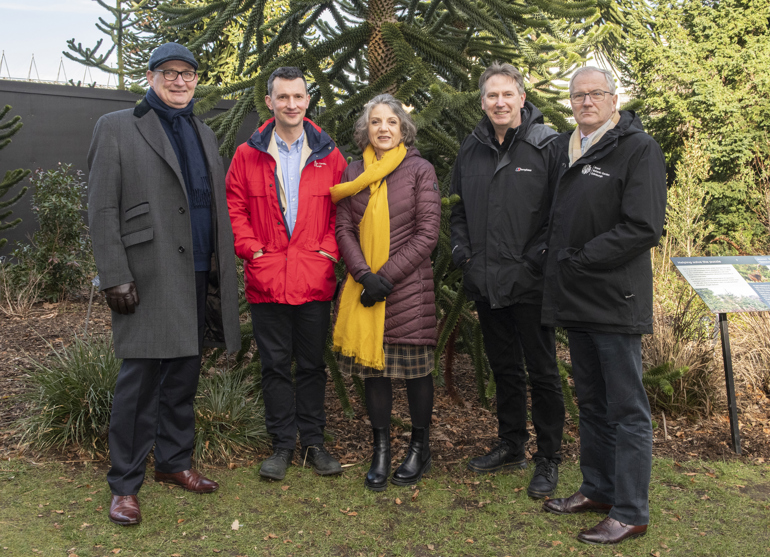 A group of people standing in front of a tree