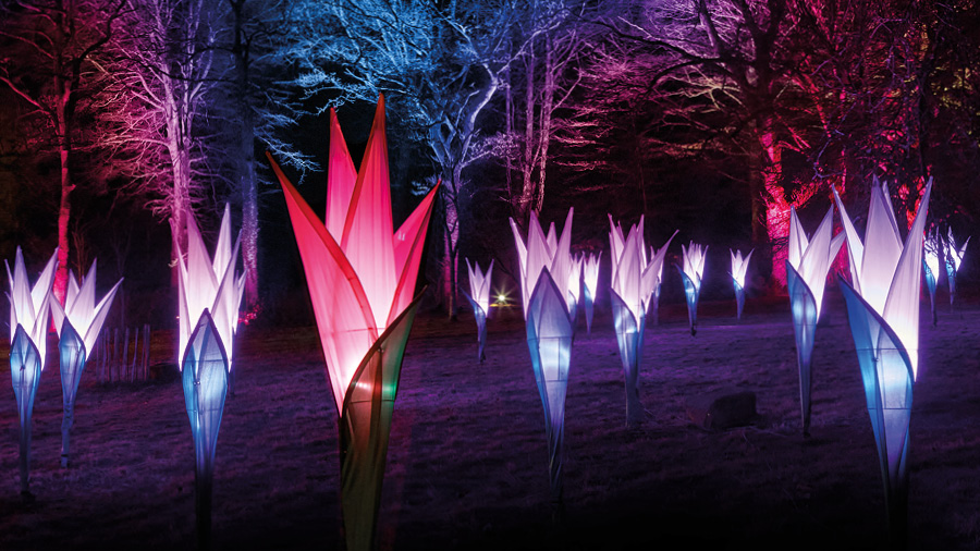 Christmas at the Botanics 2023 Royal Botanic Garden Edinburgh