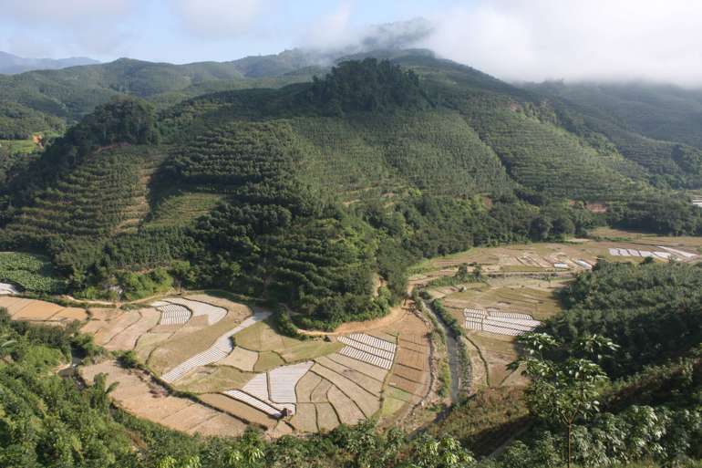 view of a tropical forest valley cleared for agriculture