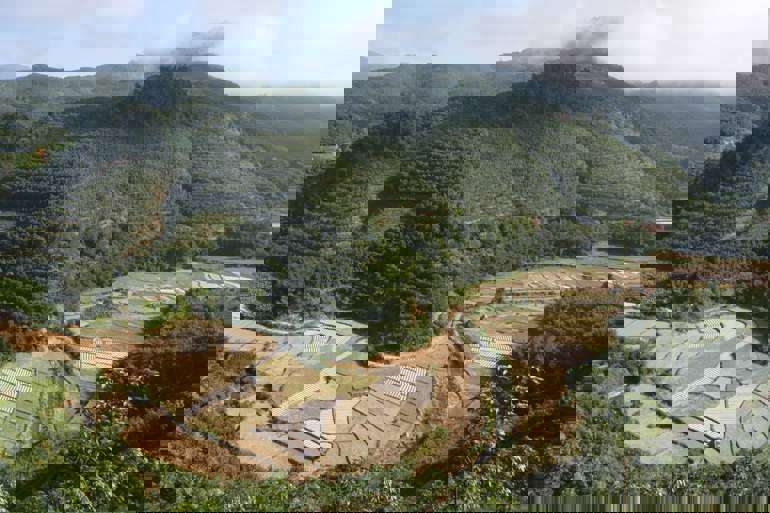 view of a tropical forest valley cleared for agriculture