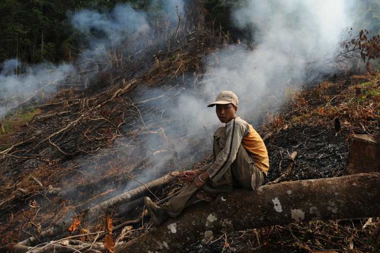 a young boy sits atop a tree trunk amidst smouldering vegetation