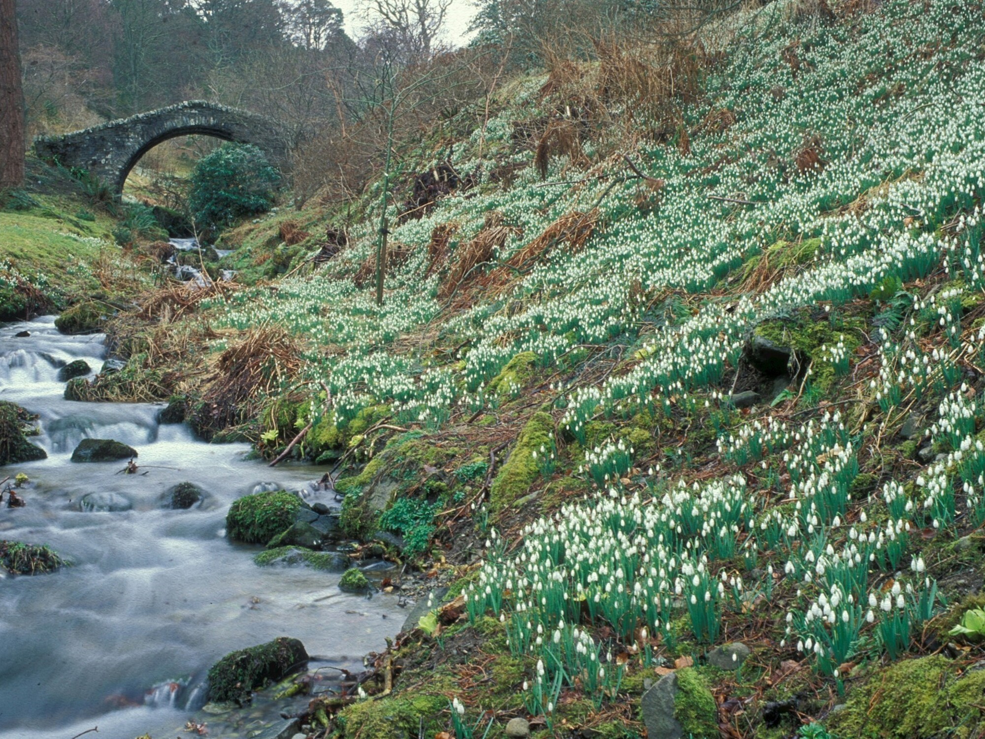 Water stream at bottom of hill