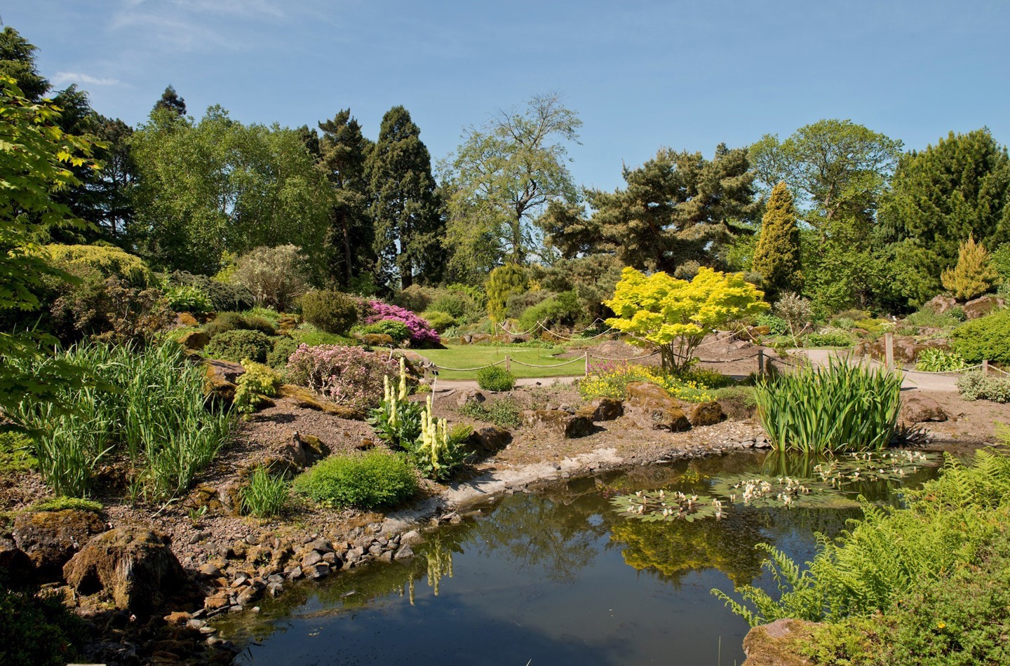 Rock Garden