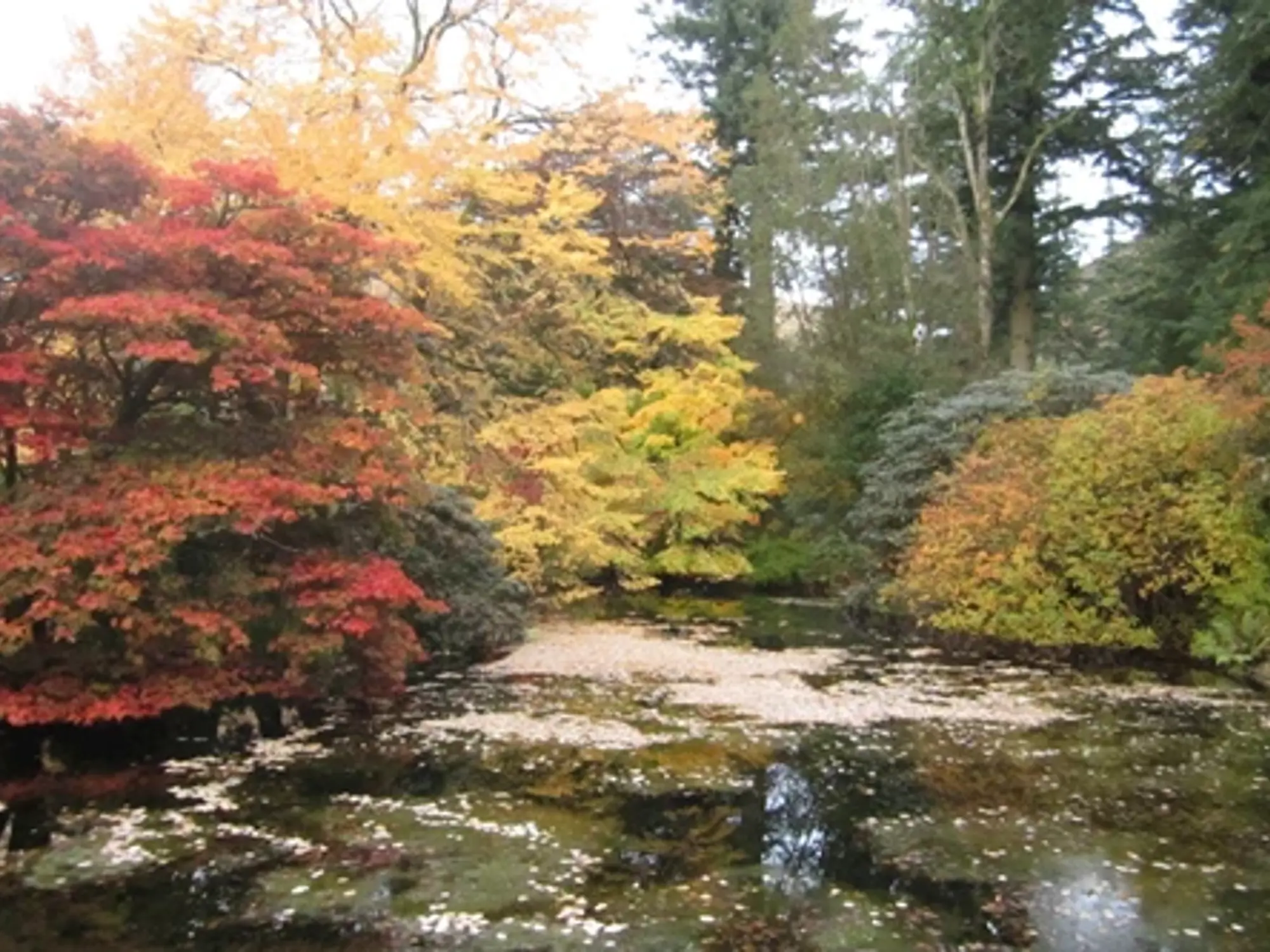 Tree View, Benmore