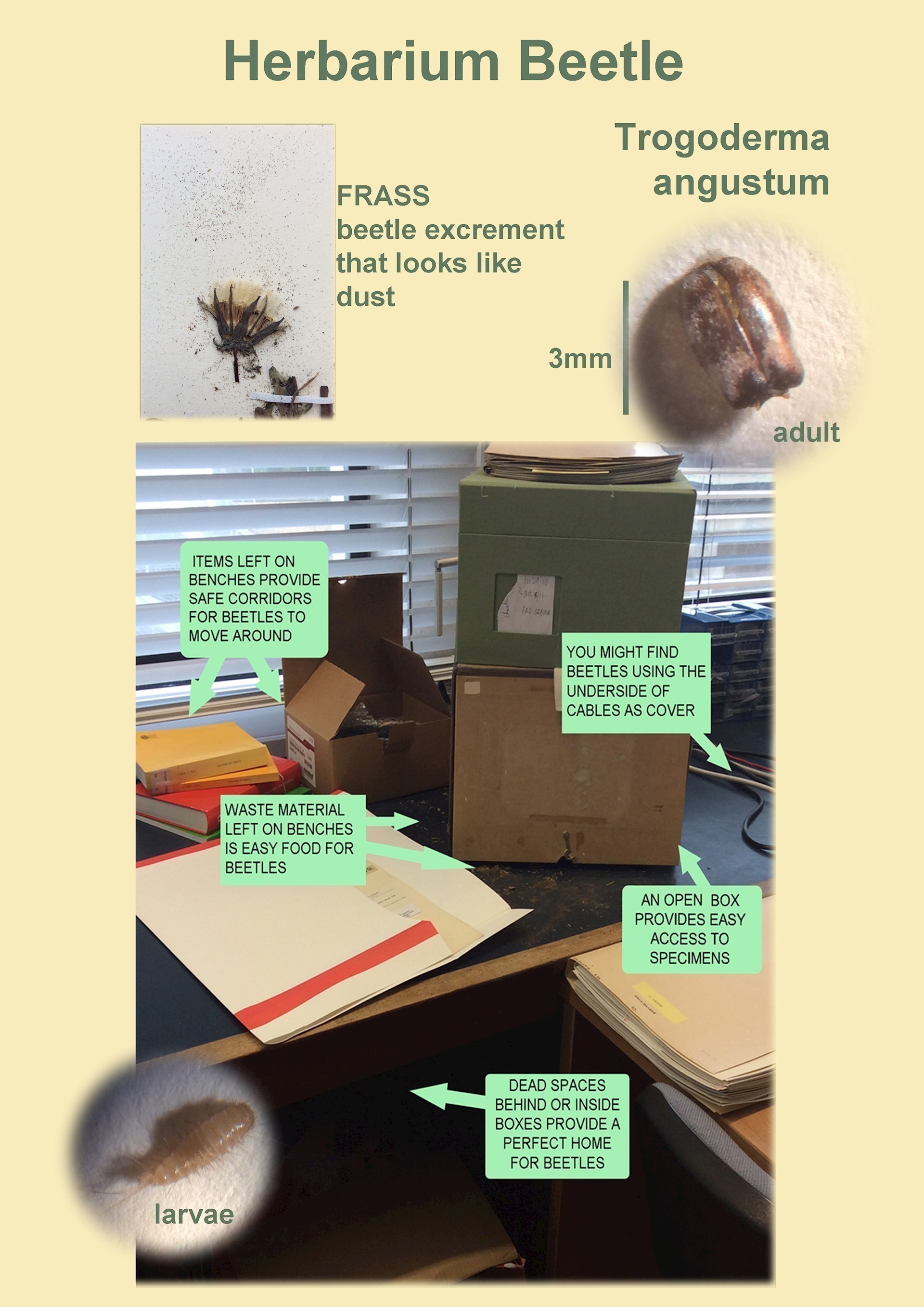 Integrated Pest Management Science & Conservation Royal Botanic