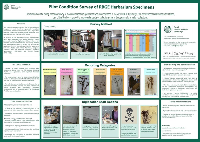 infographic of overview of the Pilot Condition Survey