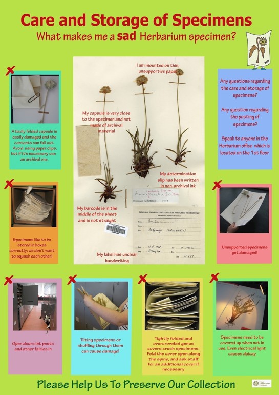 Care and Conservation of Herbarium Specimens Specimen Preparation