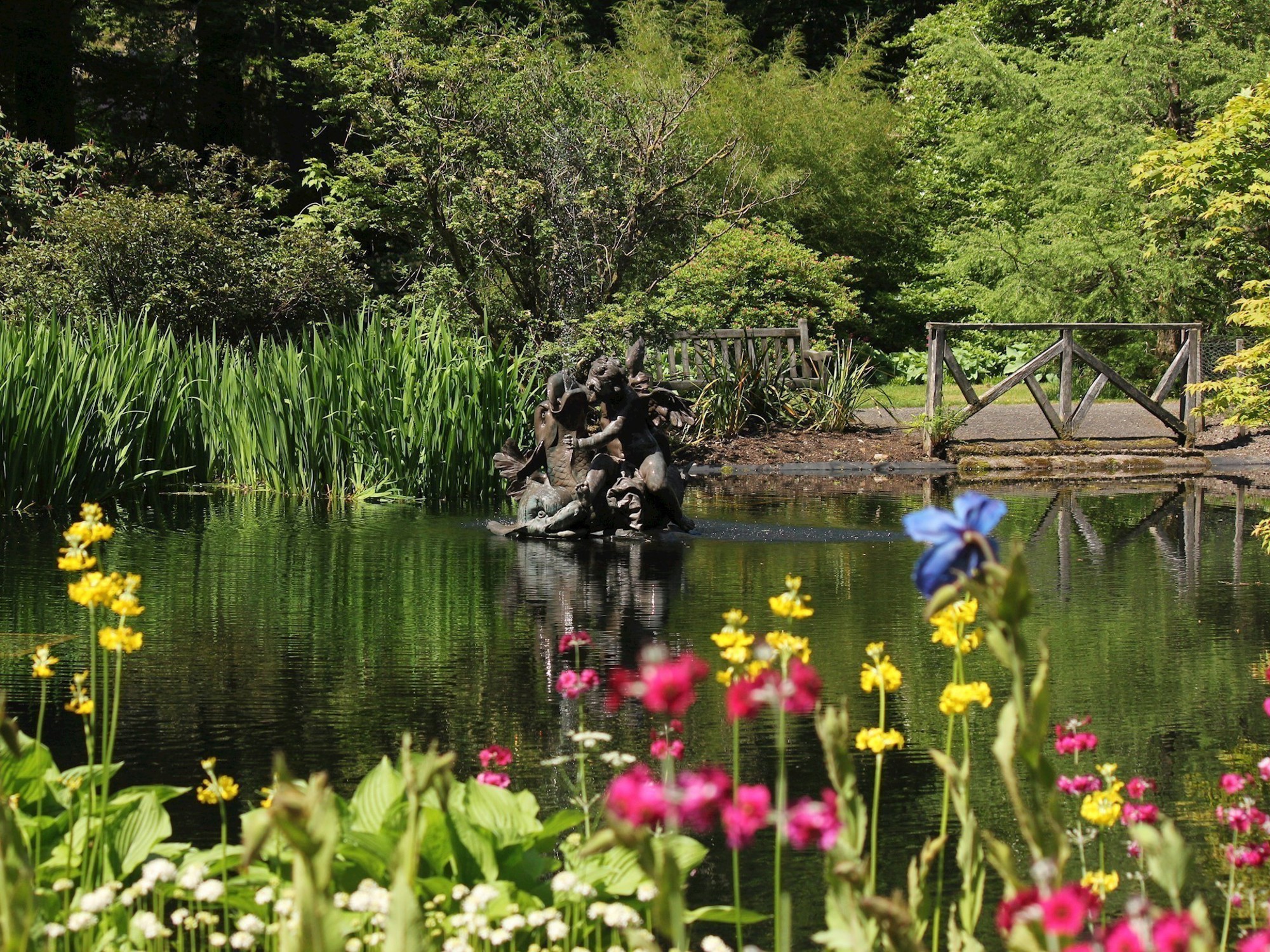Dolphin Pond