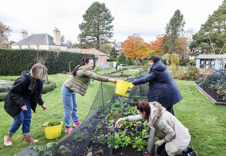 group gardening at Botanics Cottage 
