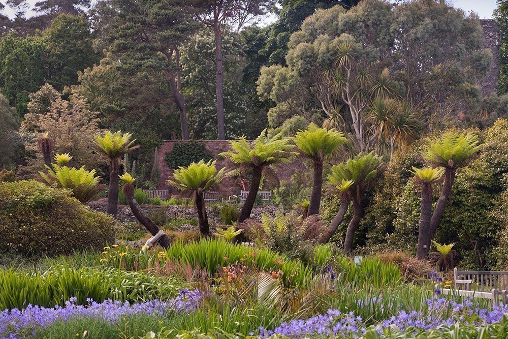 Logan Botanic Garden Visit Royal Botanic Garden Edinburgh