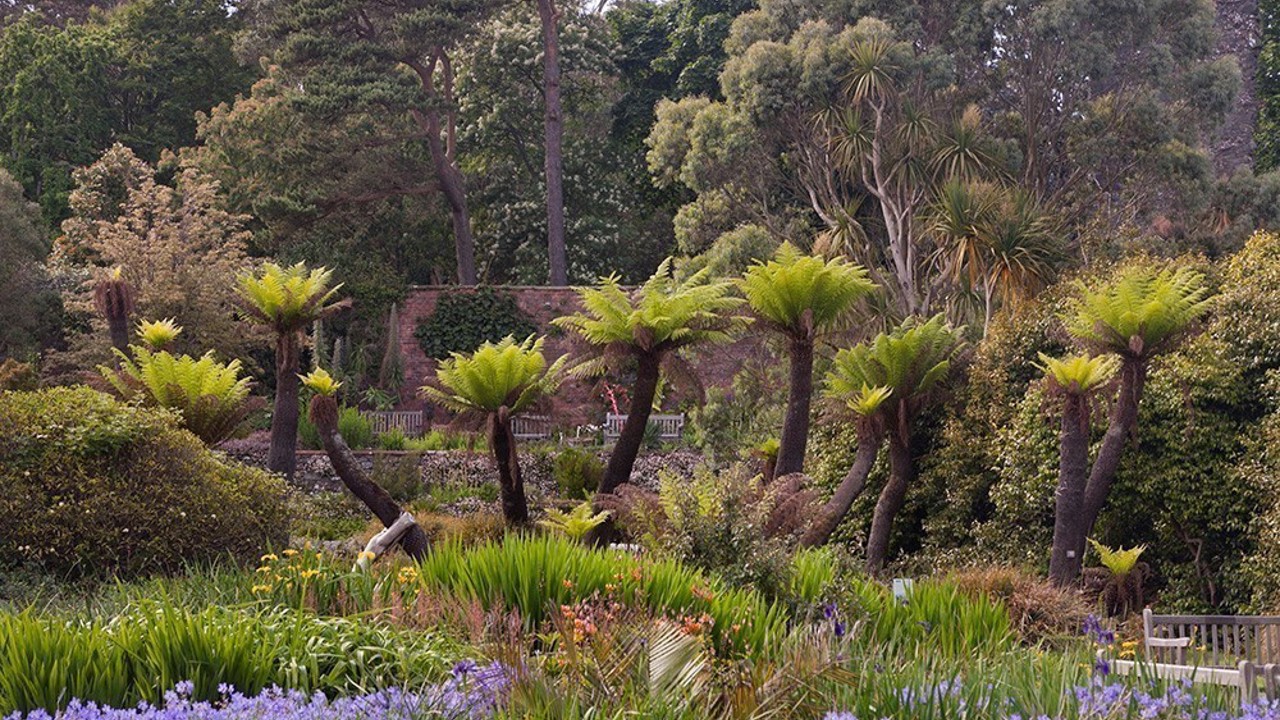Logan Botanic Garden Visit Royal Botanic Garden Edinburgh
