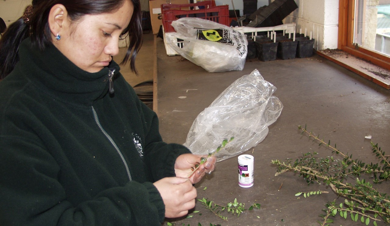 A Bhutanese intern