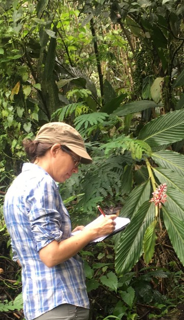 Botanist Hannah Atkins in the forest making notes next to a plant and surrounded by thick vegetation