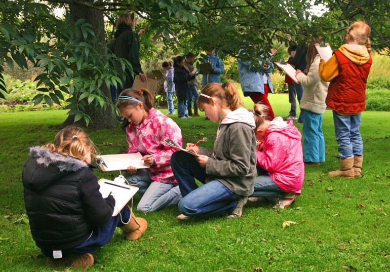 School children sitting and standing on the grass and drawing
