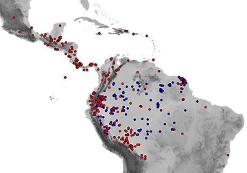 Distribution of Theobroma