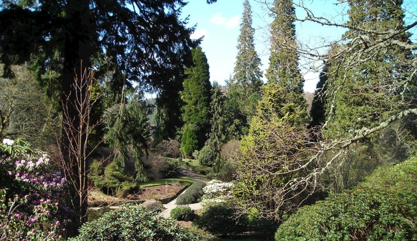 Dawyck Garden