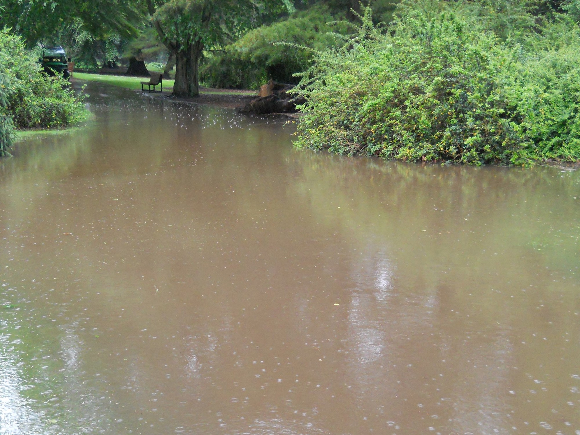 Flooded path near the Birch Lawn