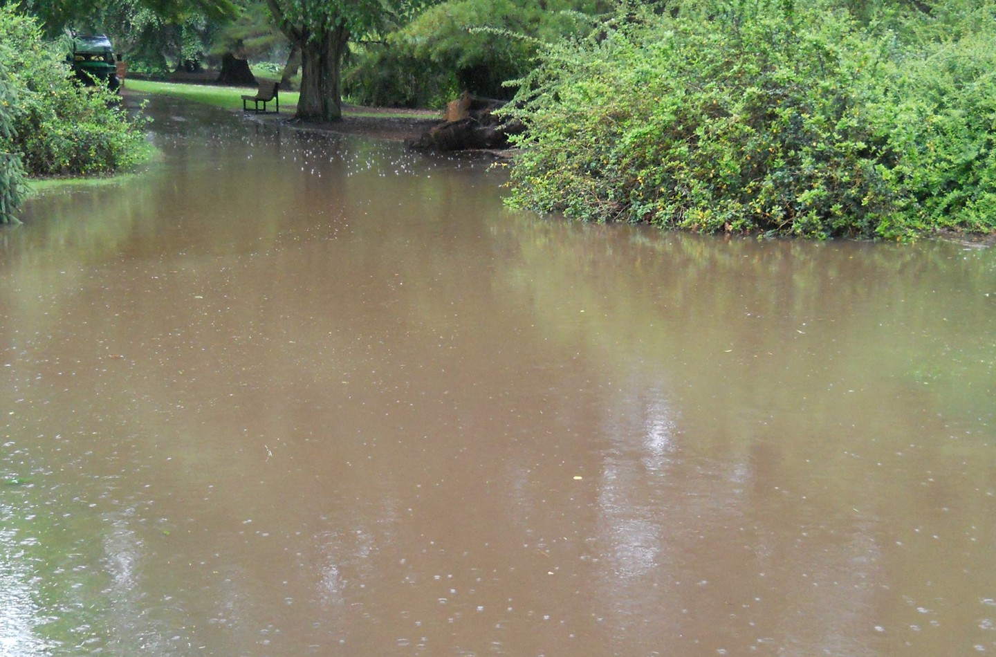 Flooded path near the Birch Lawn