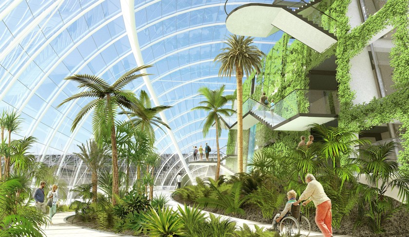 A ramped path leads a wheelchair user and visitor through plantings in a Glasshouse
