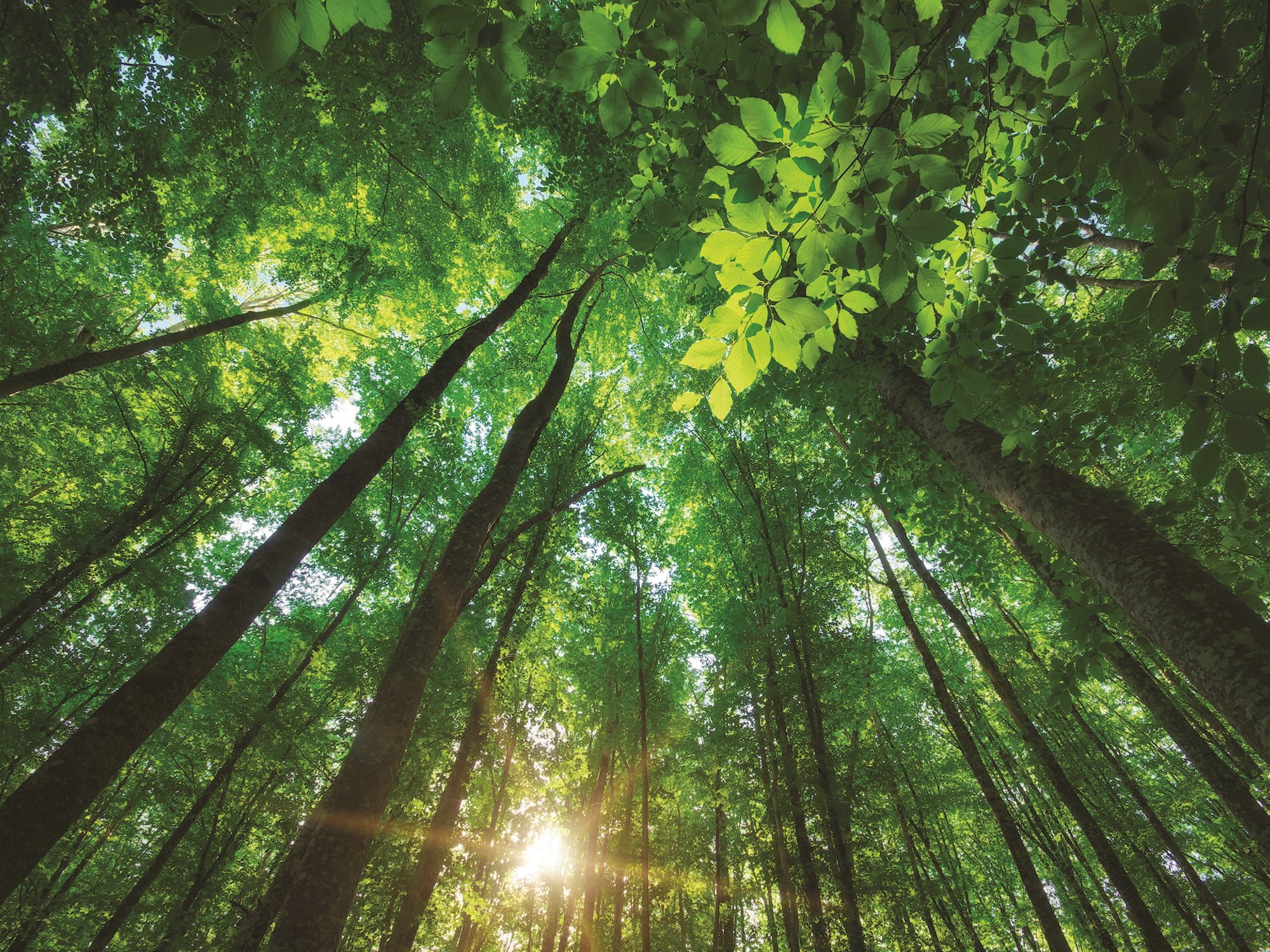 connect with nature main image