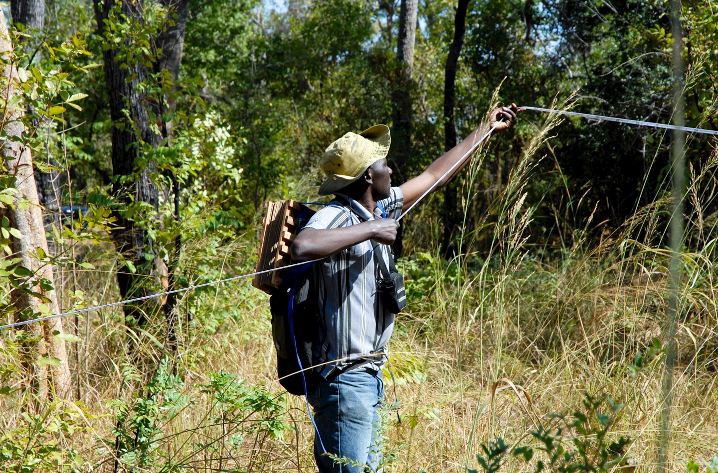 Person doing fieldwork