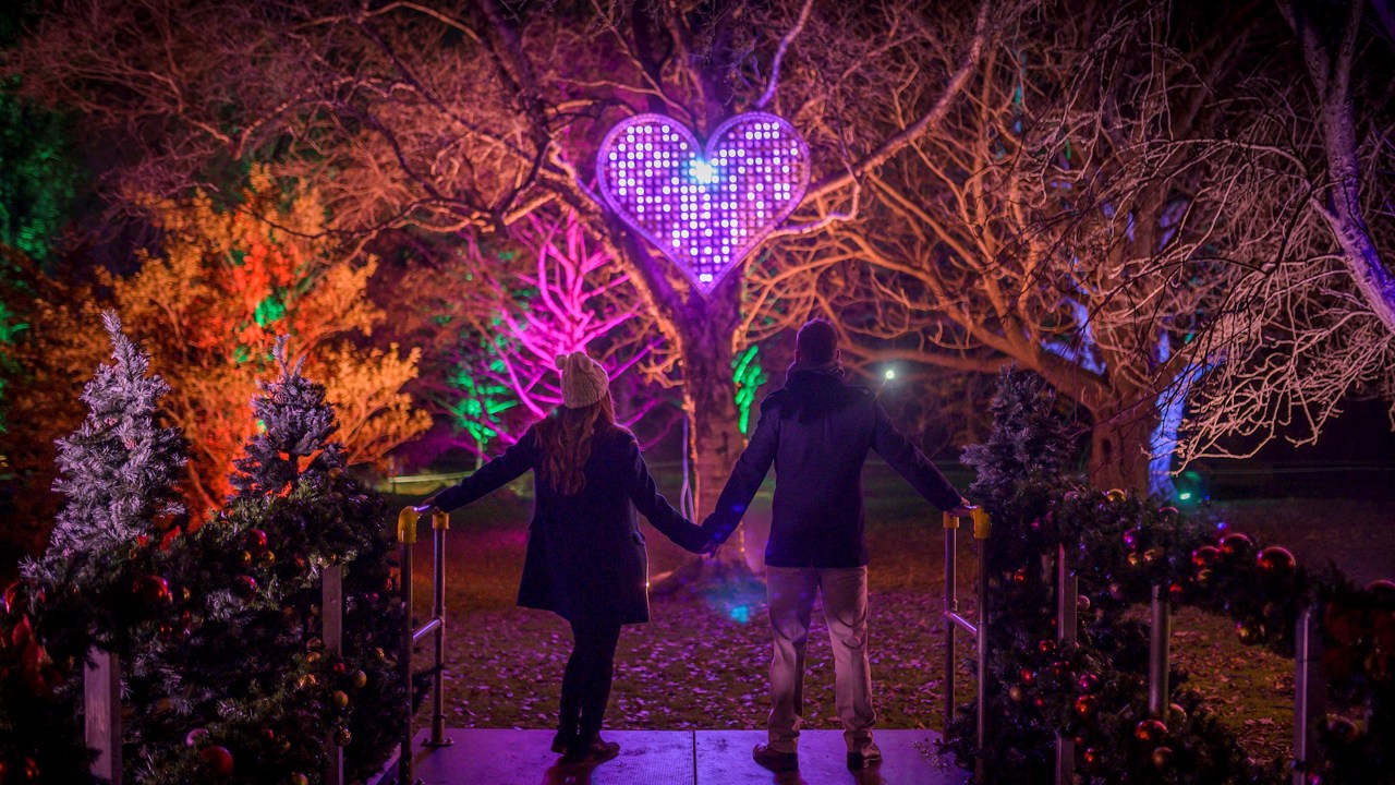 Christmas at the botanics Christmas at the botanics