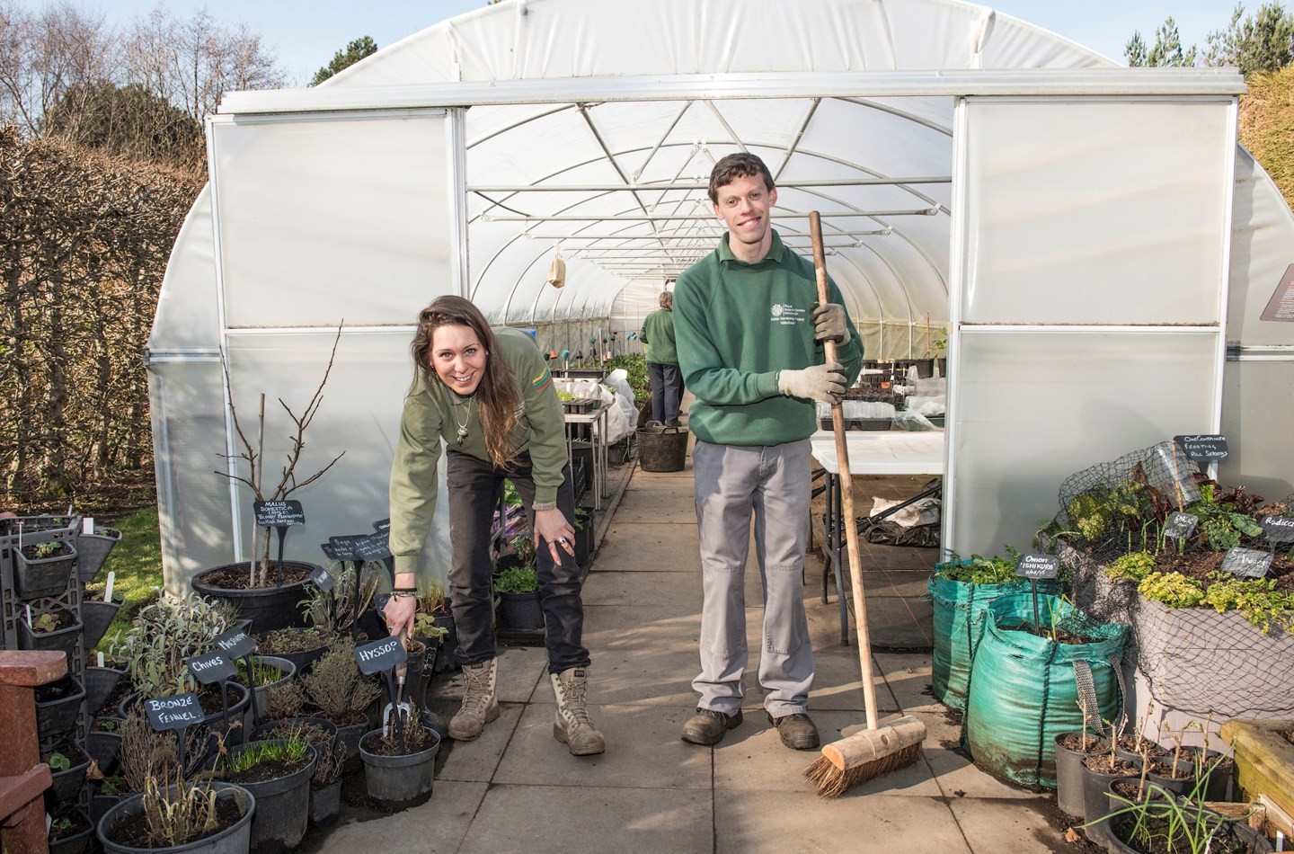 Young Gardners in a polytunnel