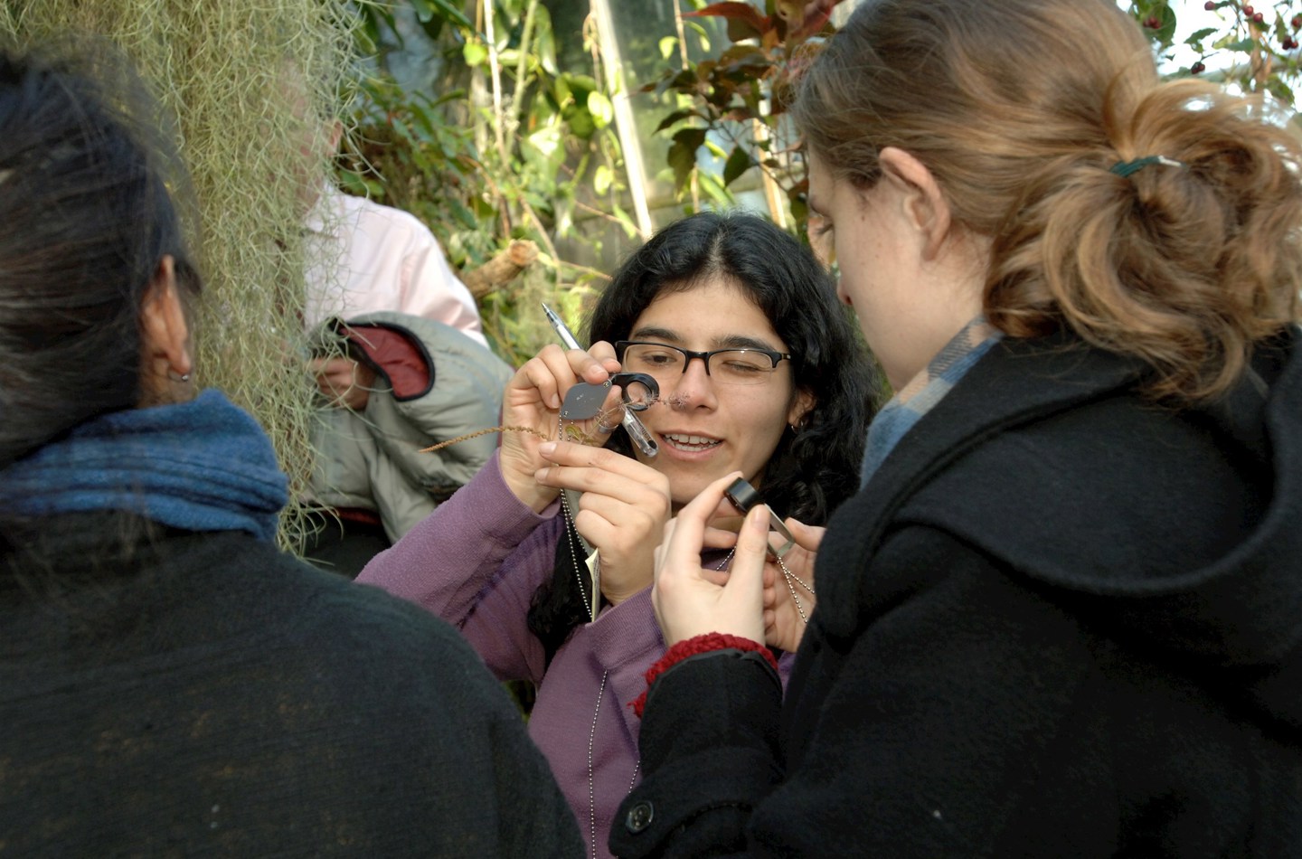 Students observing a specimen