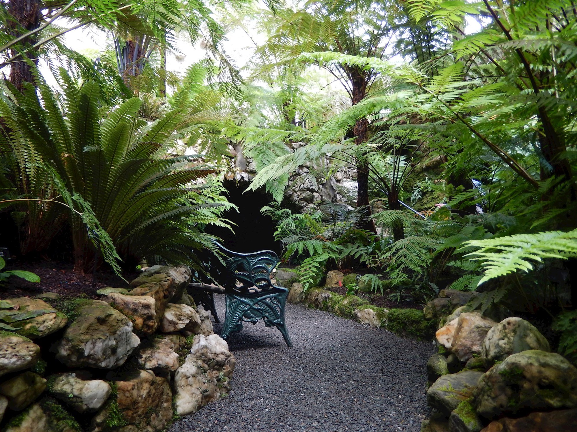 Benmore Fernery Interior