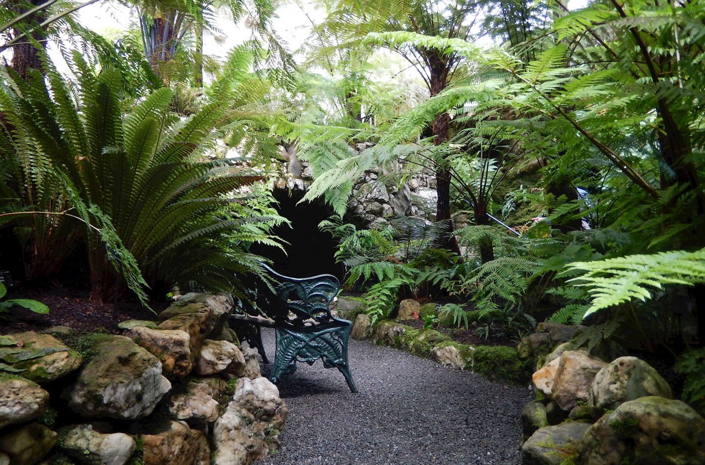 Benmore Fernery Interior