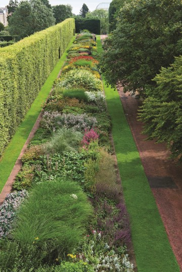 aerial view of the herbaceous border in 