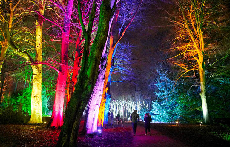 people walking past trees lit up in a variety of colours