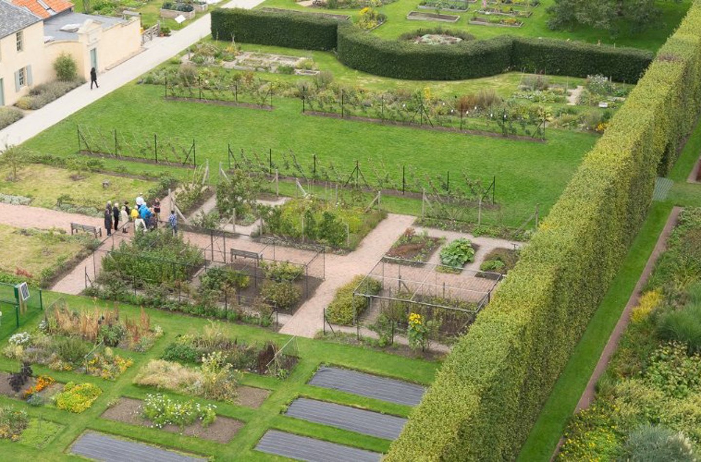 aerial view of the Edible Garden