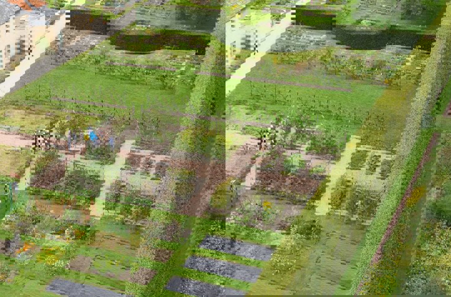 aerial view of the Edible Garden