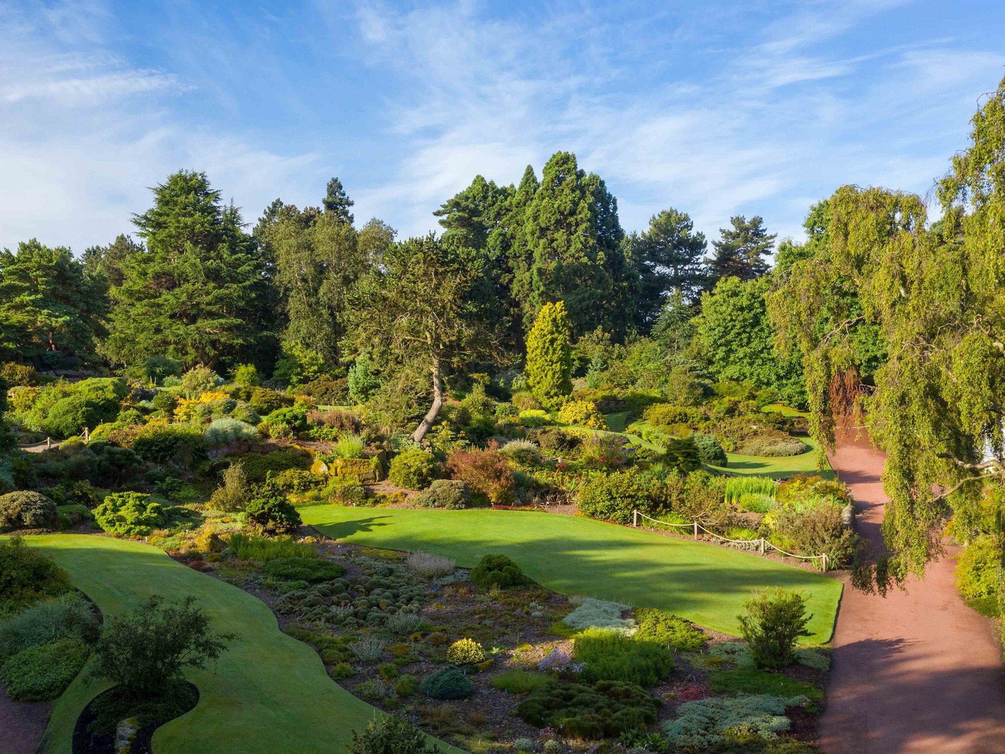 aerial view of a rock garden