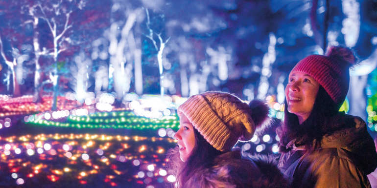 Botanical Garden Christmas 2022 Christmas At The Botanics 2021 | Royal Botanic Garden Edinburgh