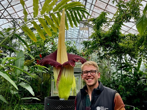 A white man with blond hair and glasses, smiling broadly, in front of a titan arum (Amorphophallus titanum) in one of RBGE's glasshouses