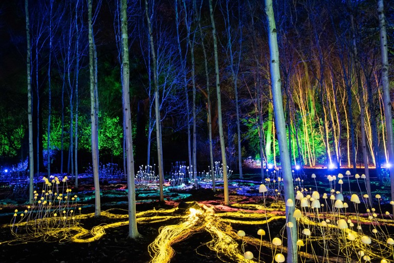 Christmas at the Botanics Royal Botanic Garden Edinburgh