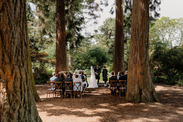 Couple standing in John Muir Grove during their wedding ceremony