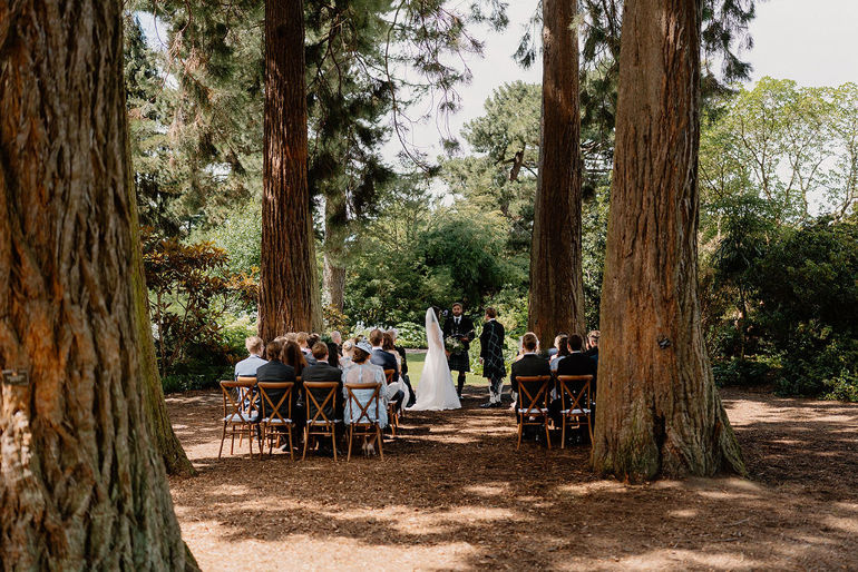 Couple standing in John Muir Grove during their wedding ceremony