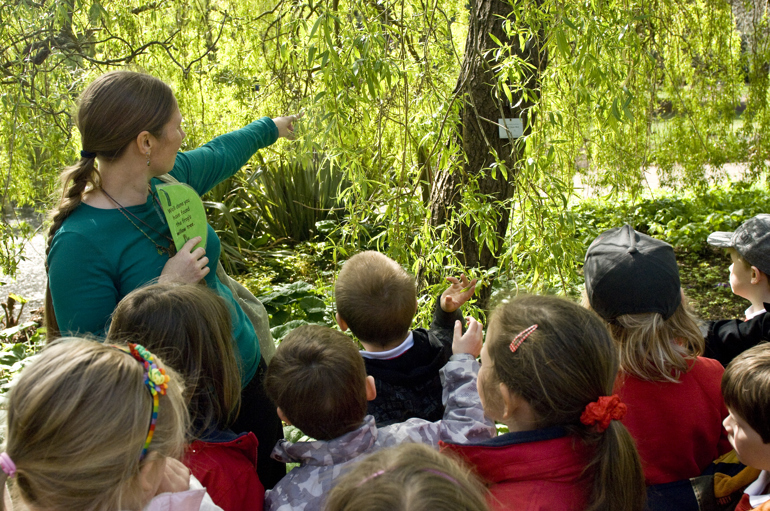 A teacher showing children a tree