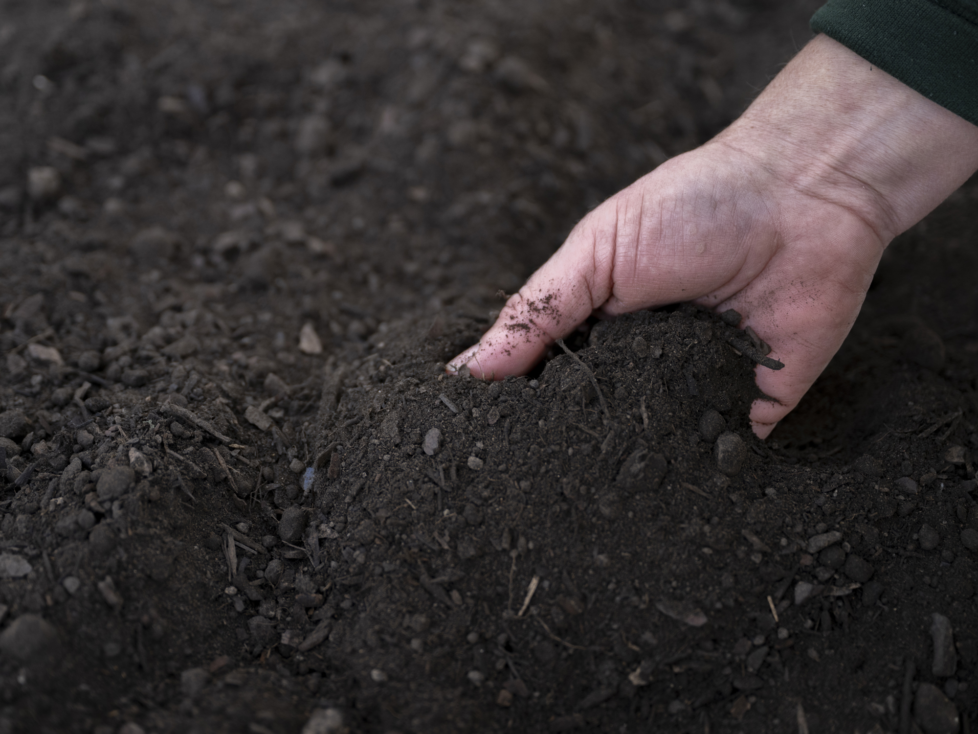 A close up of two hands hold a pile of soil within the restored Victorian Palm Houses