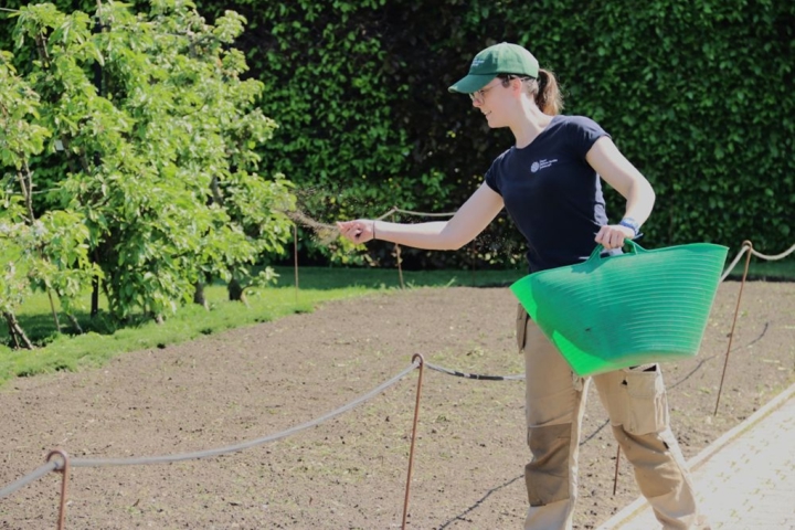 Woman sowing seeds onto a prepared area of soil