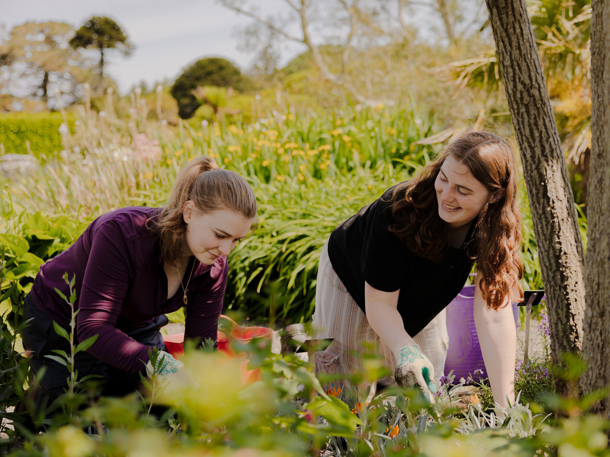 Two women gardening on a nice day and smiling