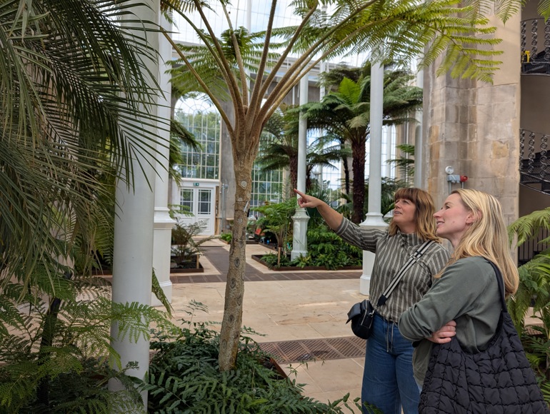 Two adults discussing and pointing at palms in the Palm House
